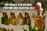 Natural Perfume vs Essential Oils: What's the Difference?